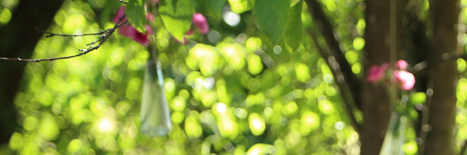 LeonhardC's profile banner image