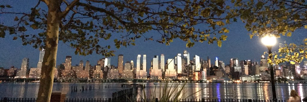 nessatee24's profile banner image