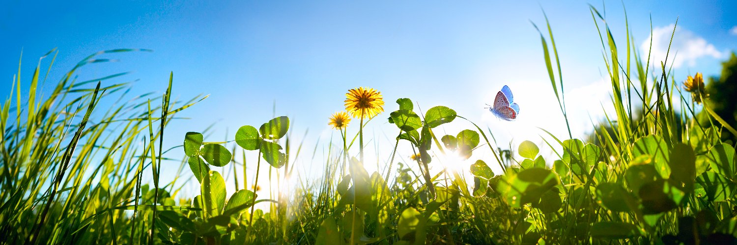 Pennington Lawn banner