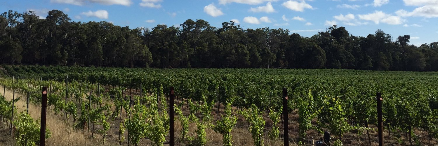 To Be Consumed banner