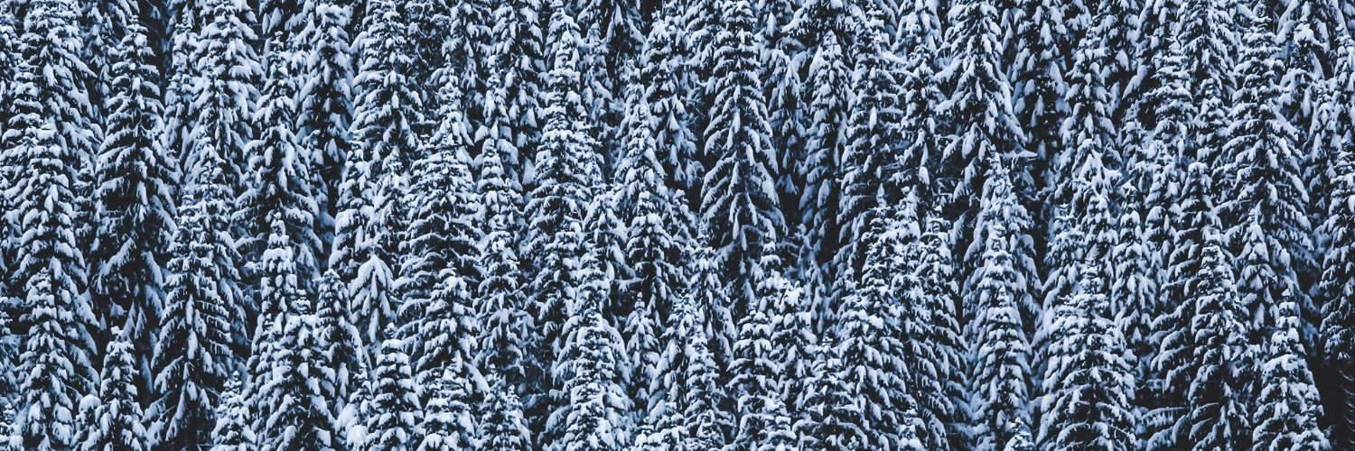 Askov Finlayson banner