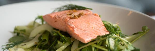 BBSockeye Profile Banner