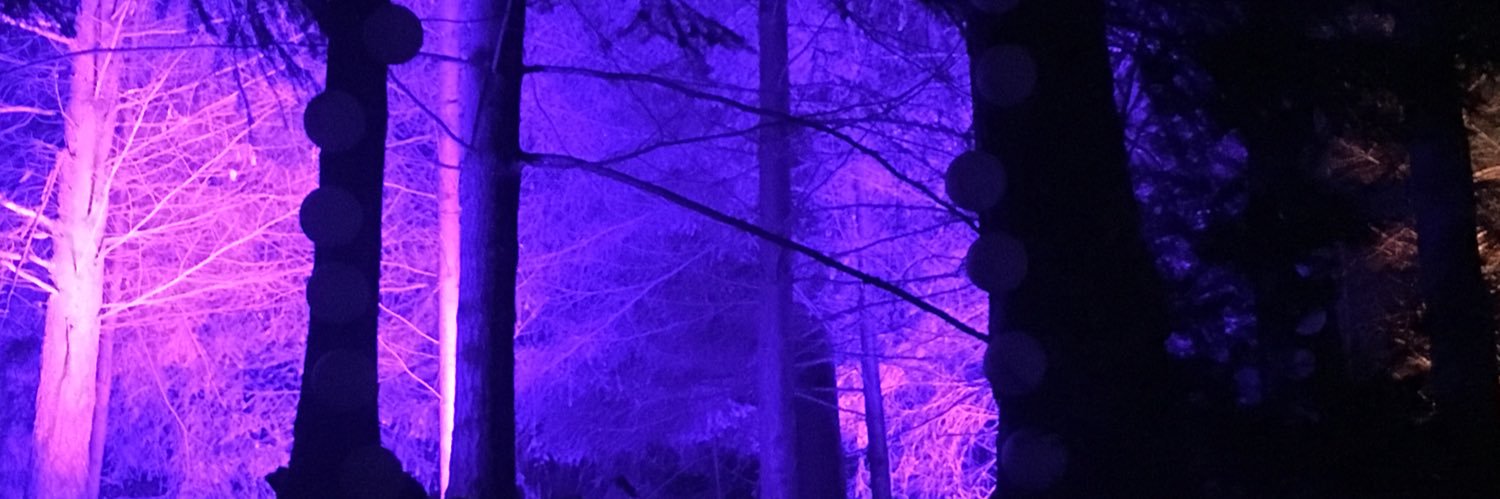Rachel-Jane banner