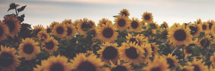 ShaunaAlder's profile banner image