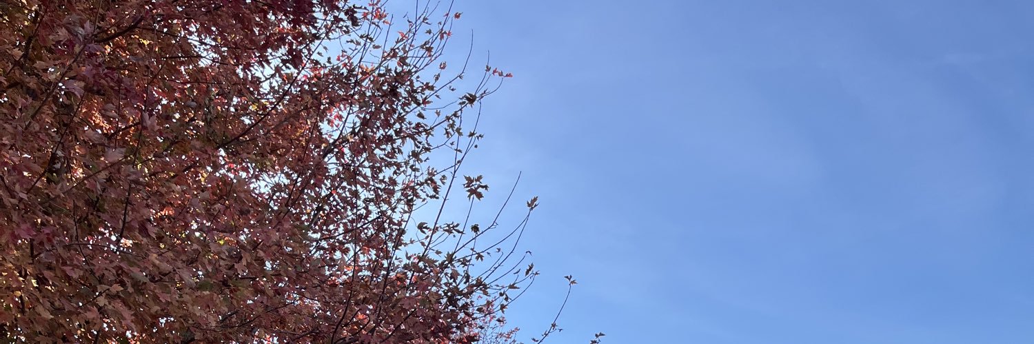 kara_swayne's profile banner image