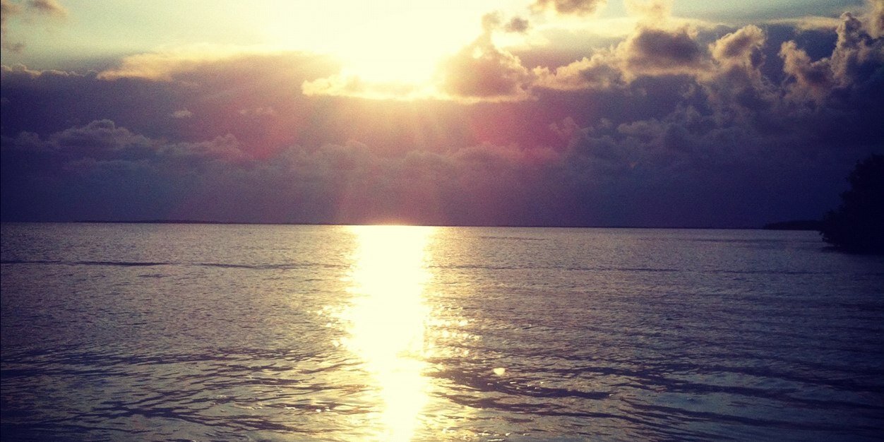 brittlop's profile banner image
