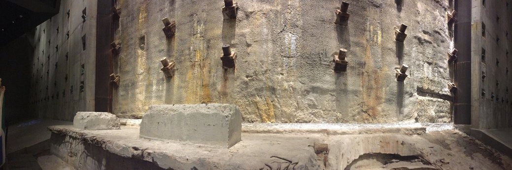 Nathaniel Wice banner