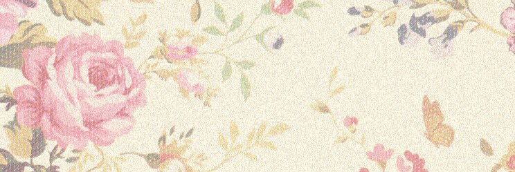 Snow_love_03's profile banner image