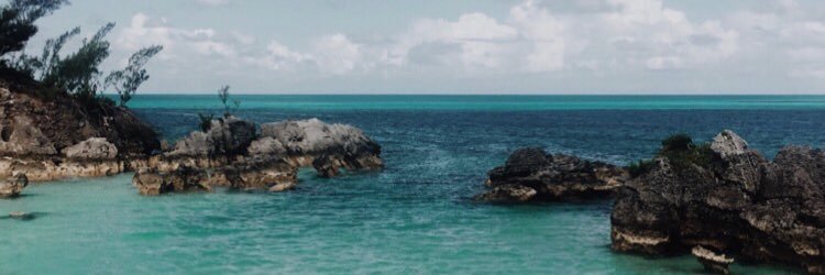 lexaajane's profile banner image