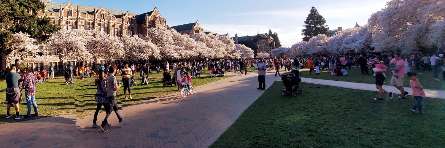 Jill R Setera banner