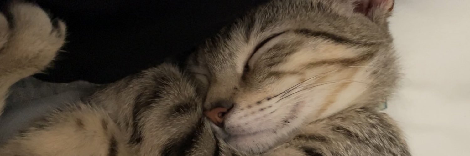 heyshadx's profile banner image