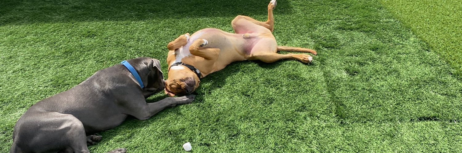 Bryon Tempesta banner