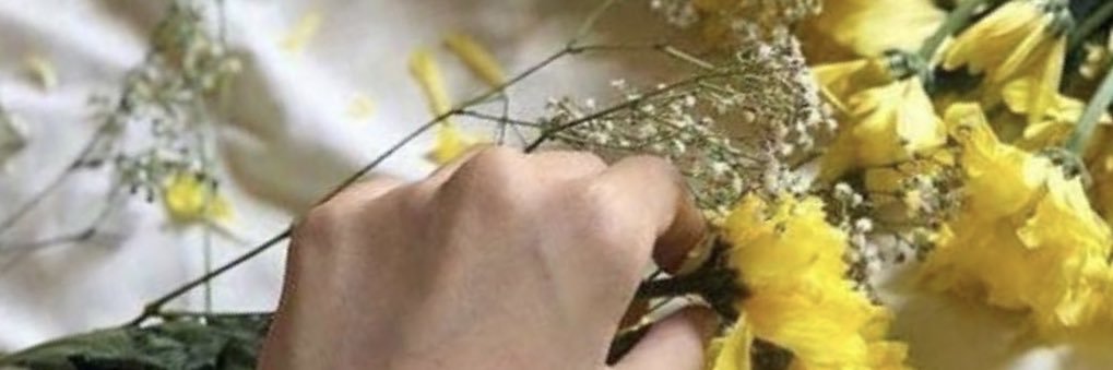 LA83se's profile banner image