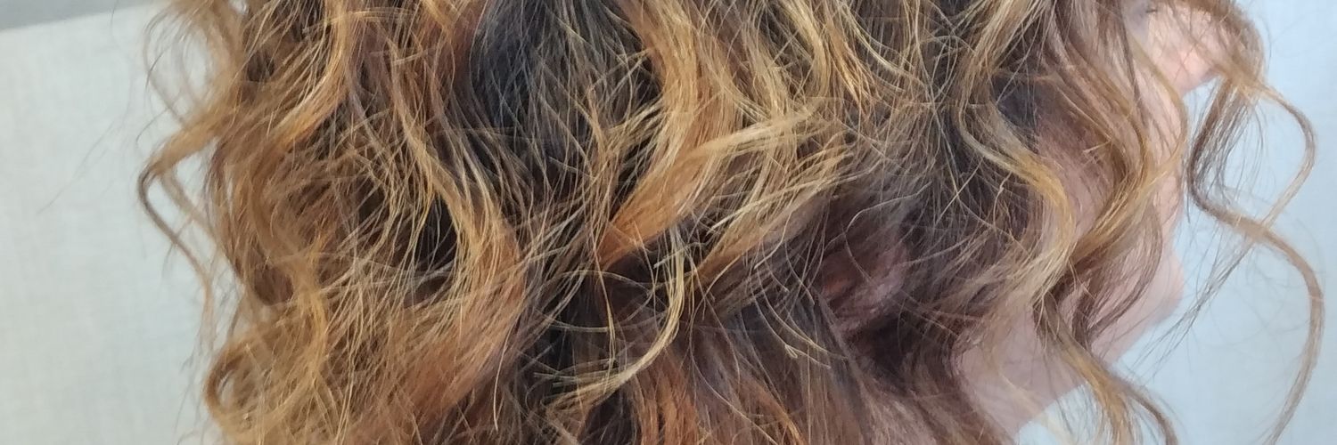 DILVA  BRESCIANI banner