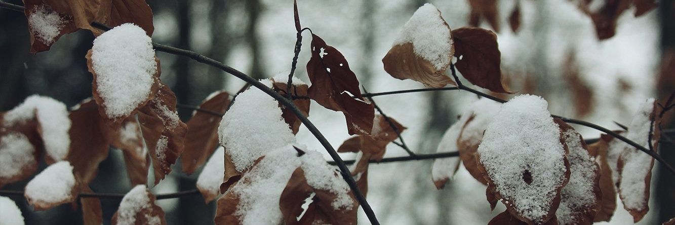 luxcalamitatis's profile banner image