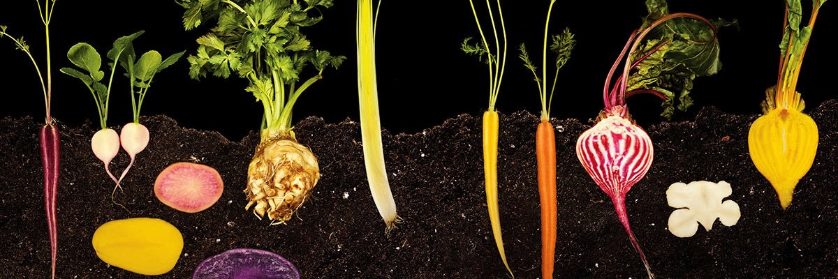 Markjohn_stuart's profile banner image