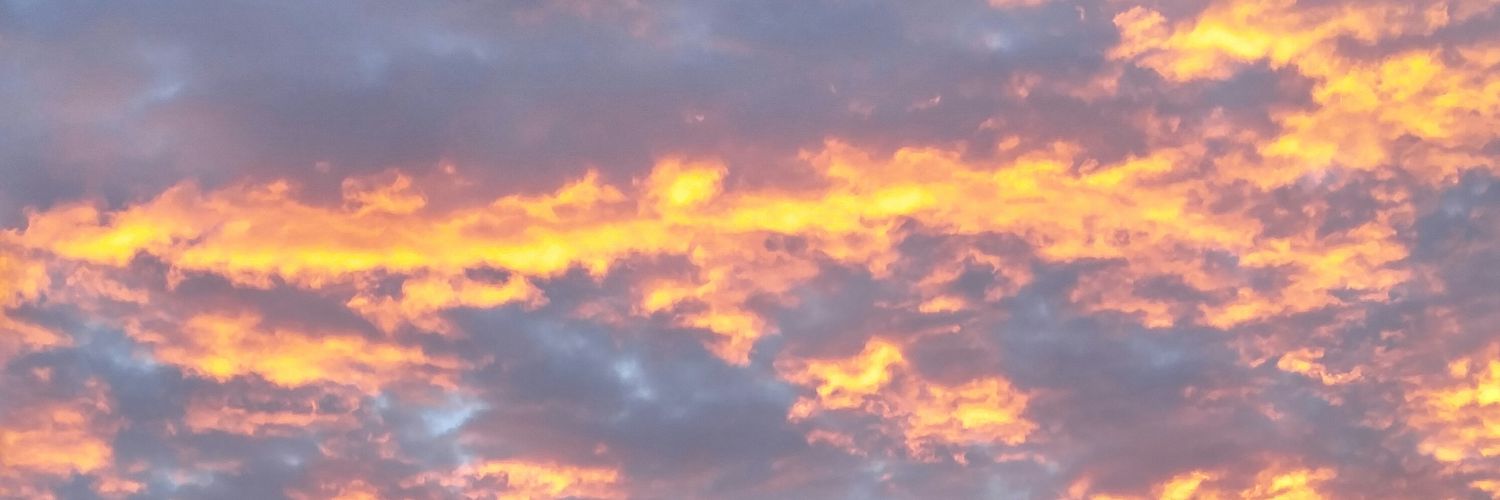mrspmoultrie's profile banner image