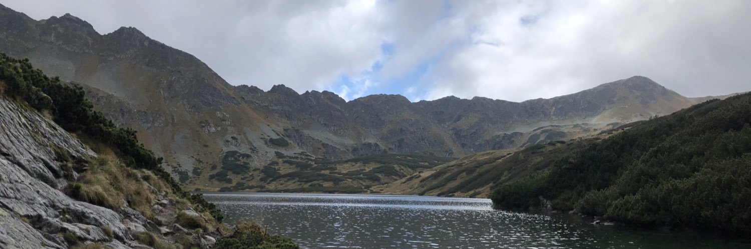 Łukasz Guzik banner