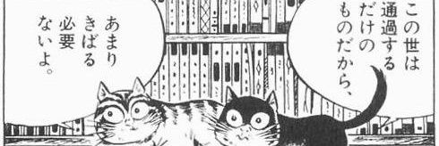 mosuke39mosuke1's profile banner image