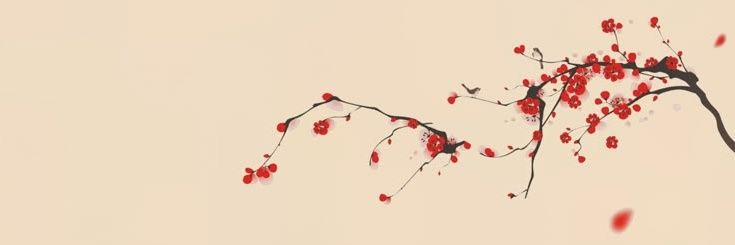 Ringo 🍎 banner