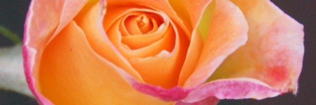 Kcinddy's profile banner image