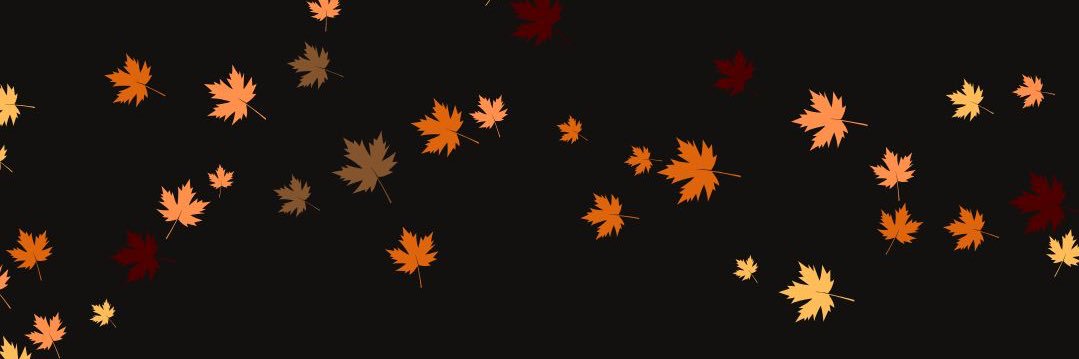 Jess_Daugherty's profile banner image