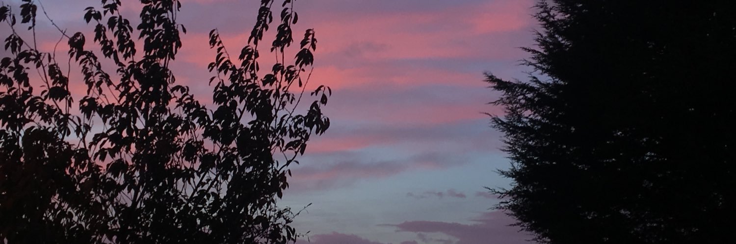 leahryan7's profile banner image
