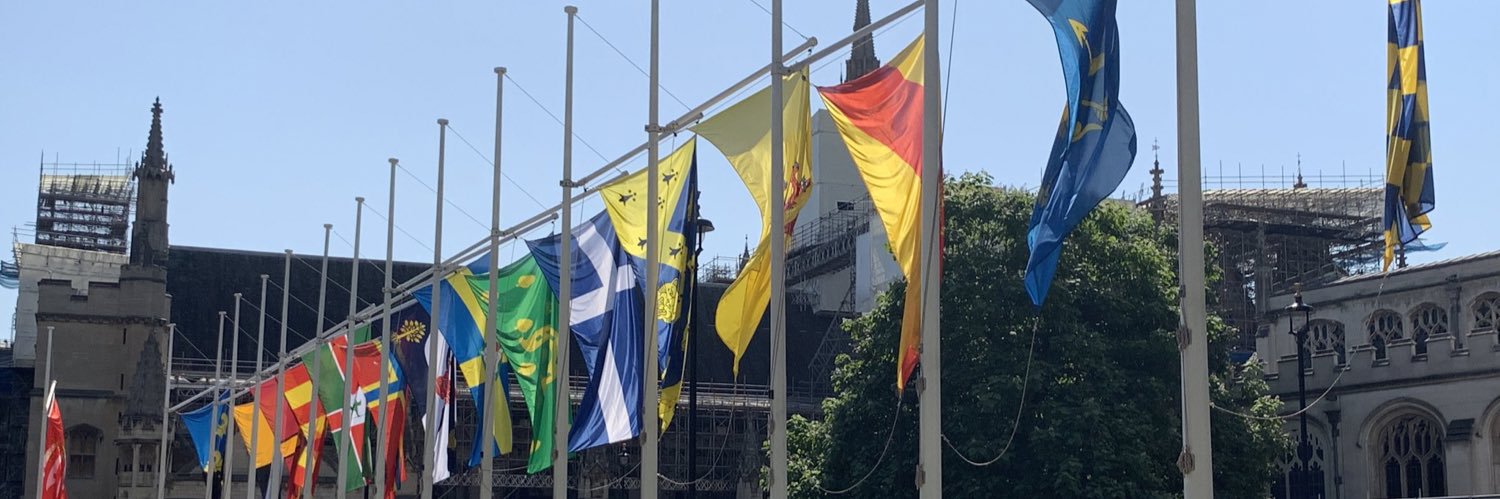 The Flag Institute banner