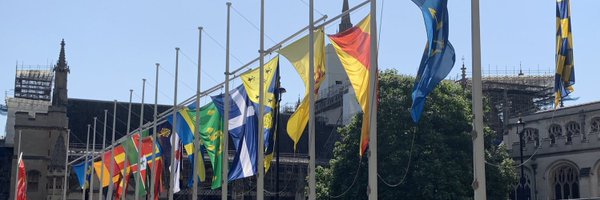 FlagInstitute Profile Banner