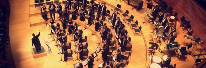 lsnbands's profile banner image