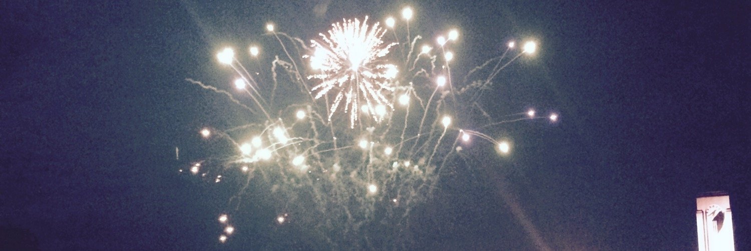 bethany robinson banner