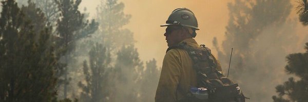 BIAFireForestry Profile Banner