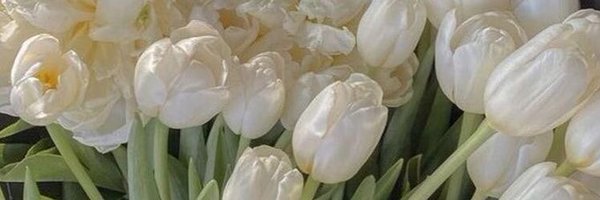 seulyien Profile Banner