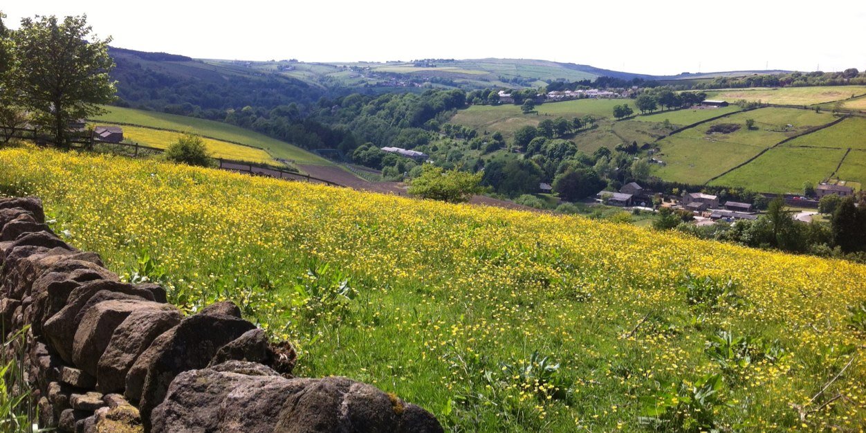 SaddleworthWI's profile banner image