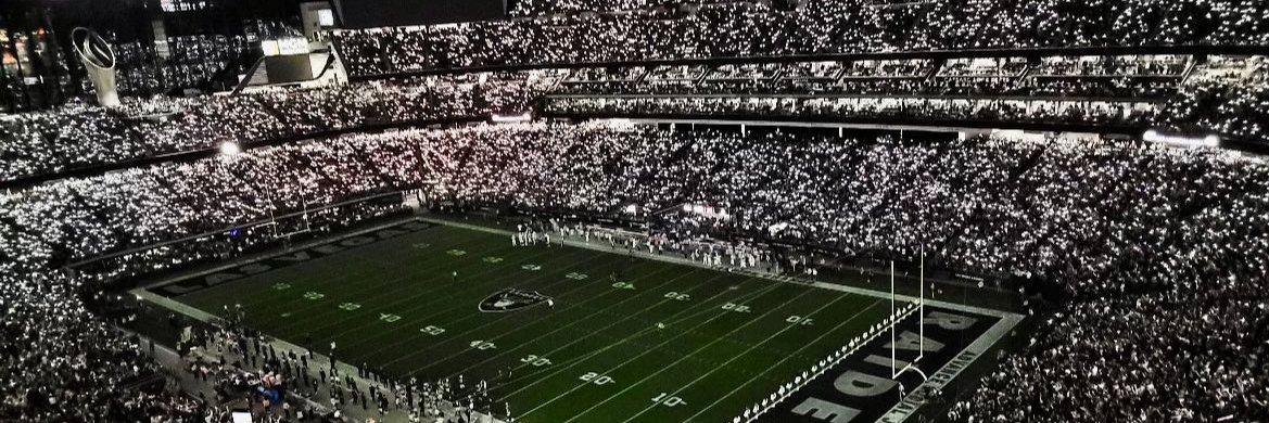 Just Raiders Baby! banner