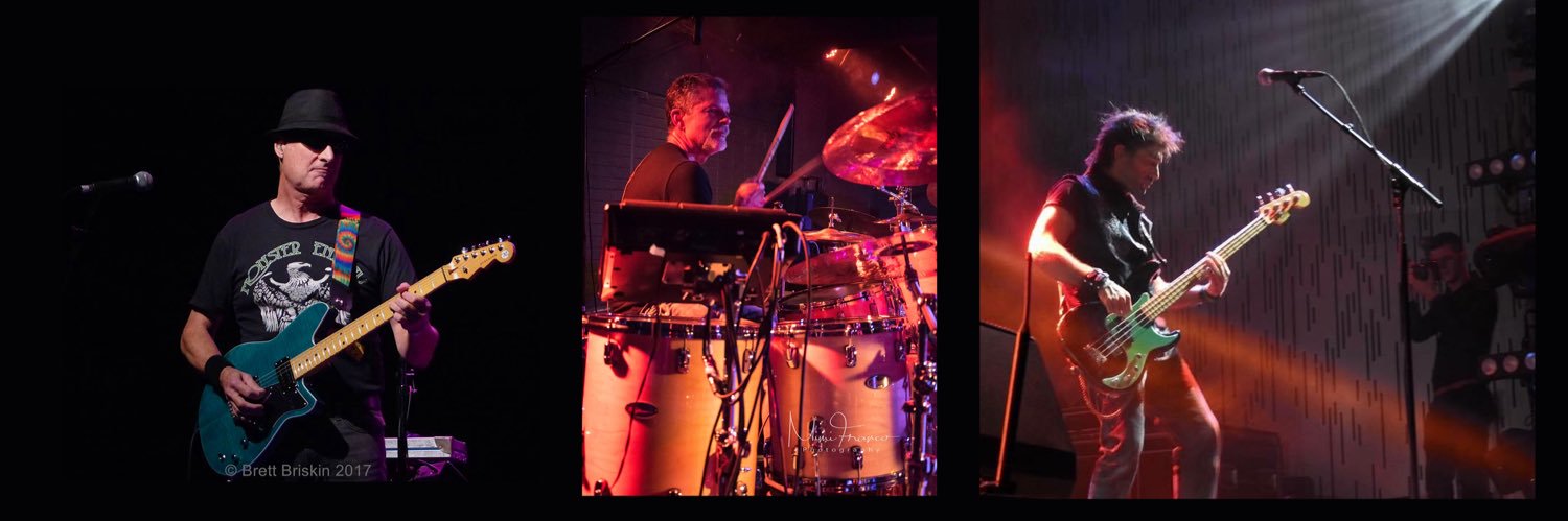 PetSharkband's profile banner image