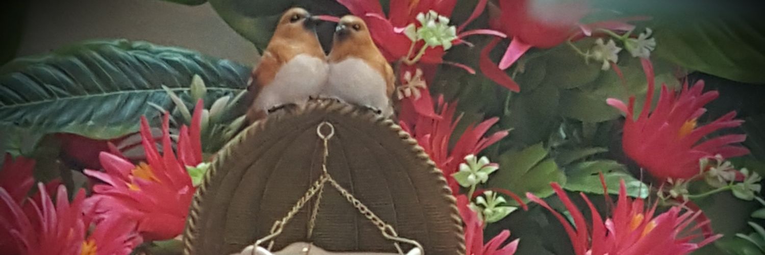 afksab's profile banner image