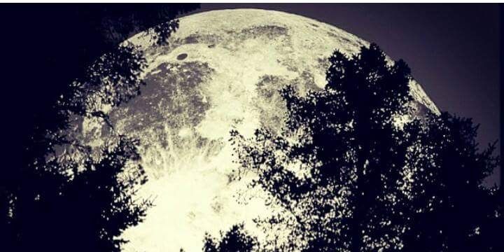 alvarockalv's profile banner image