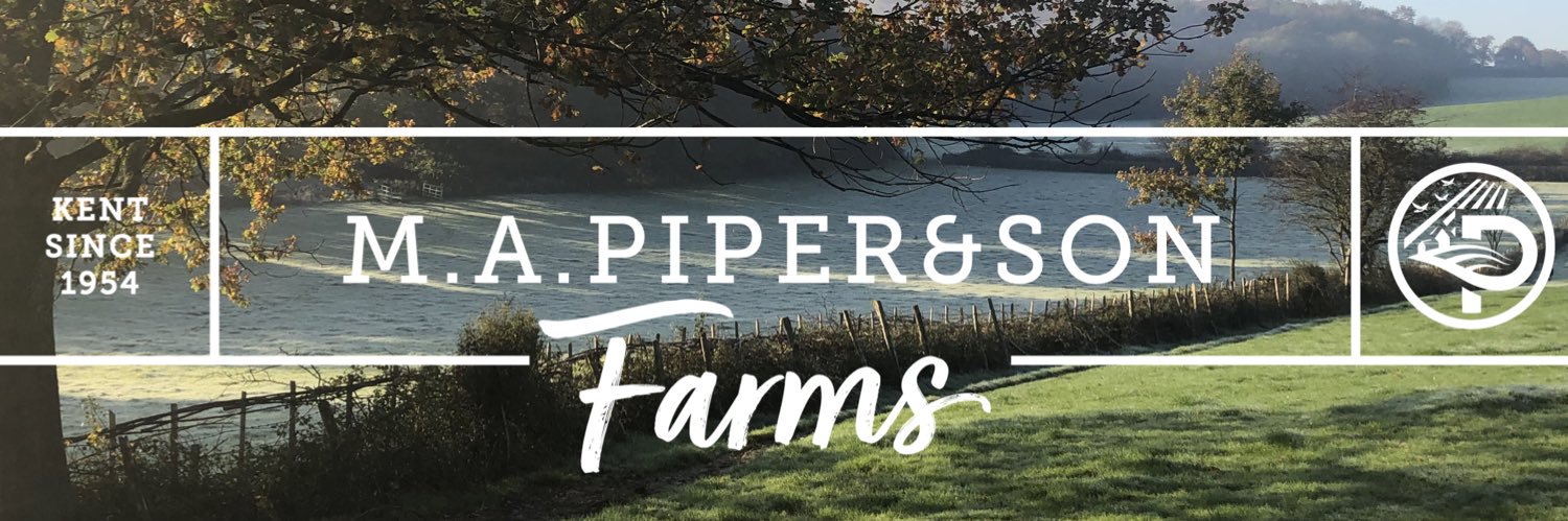 Owen Piper banner