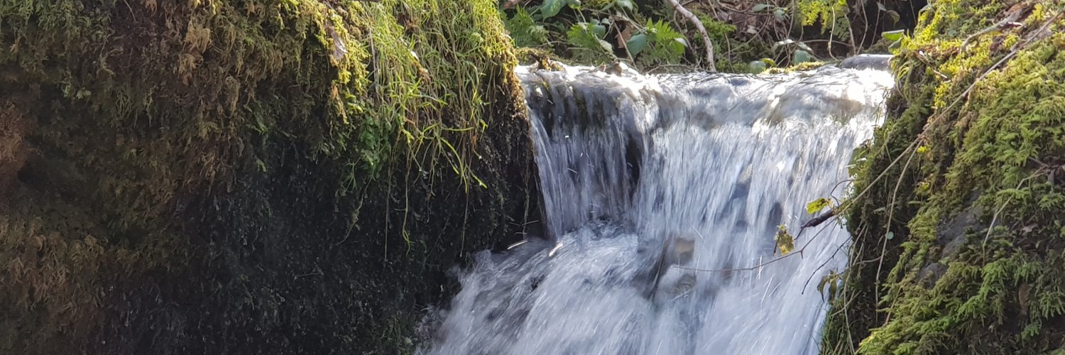 Mark Meyers 💛 🇺🇦 💙 banner