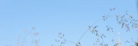 etmarie93's profile banner image