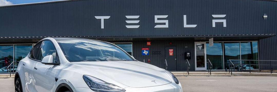 CEO OF TESLA banner