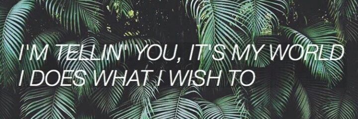 VickyPradiska's profile banner image