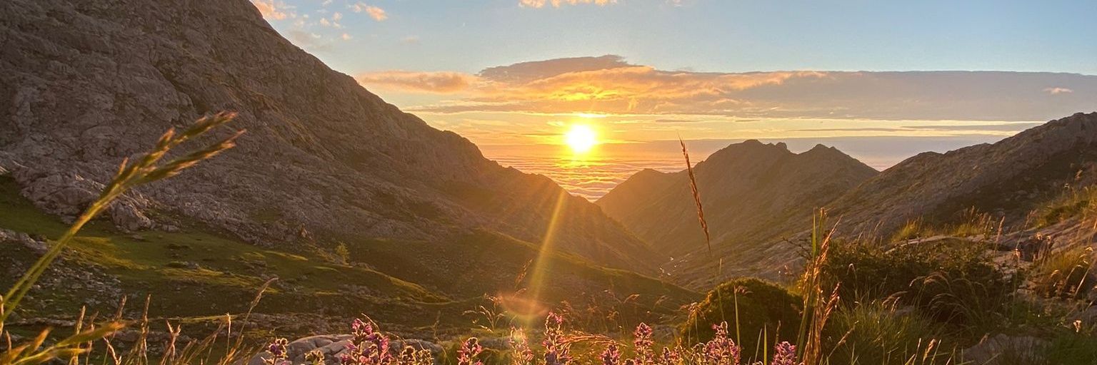 axel_olv's profile banner image