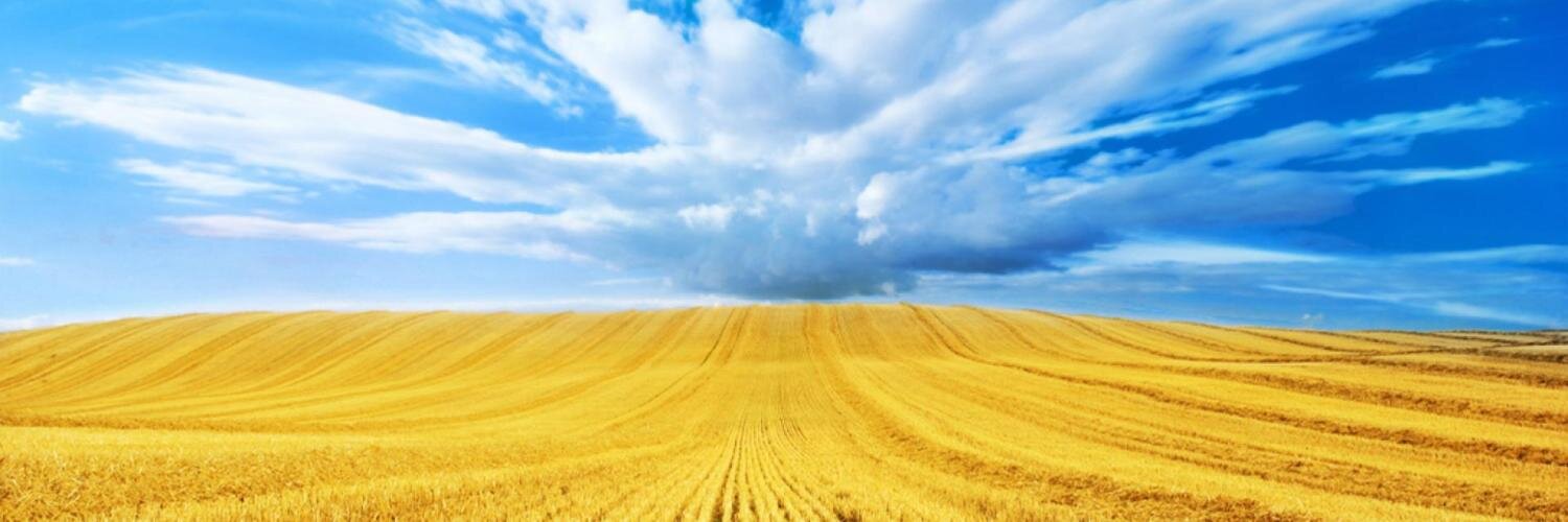 Kompass Ukraine banner