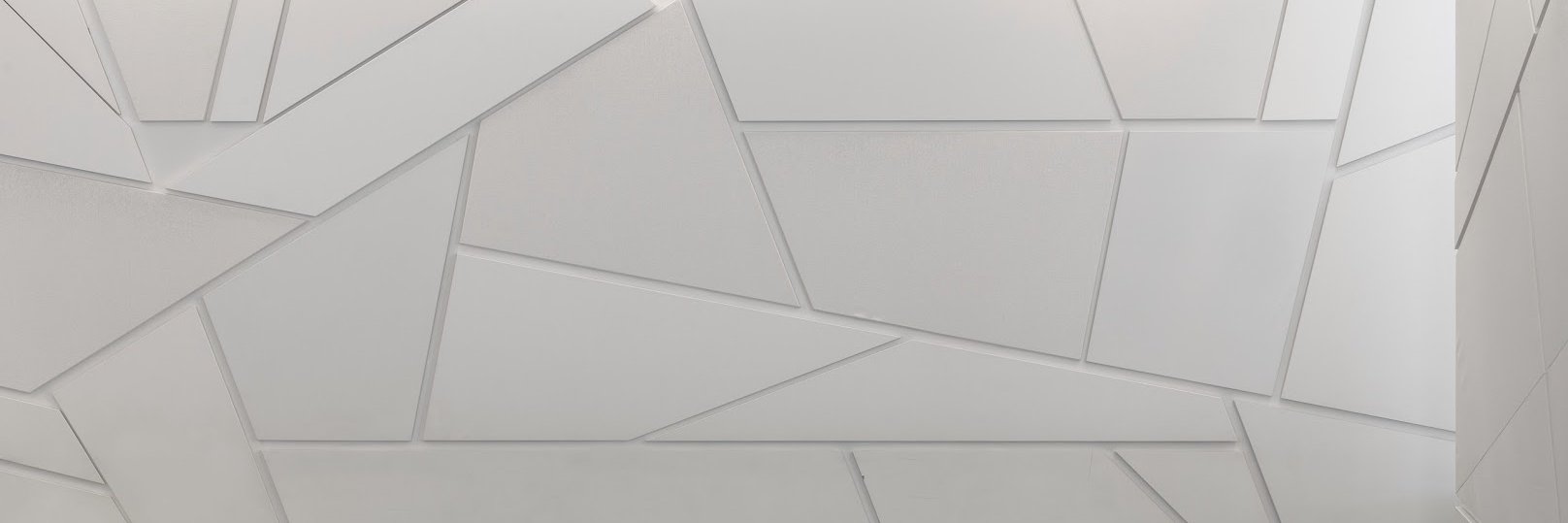 roartnyc's profile banner image