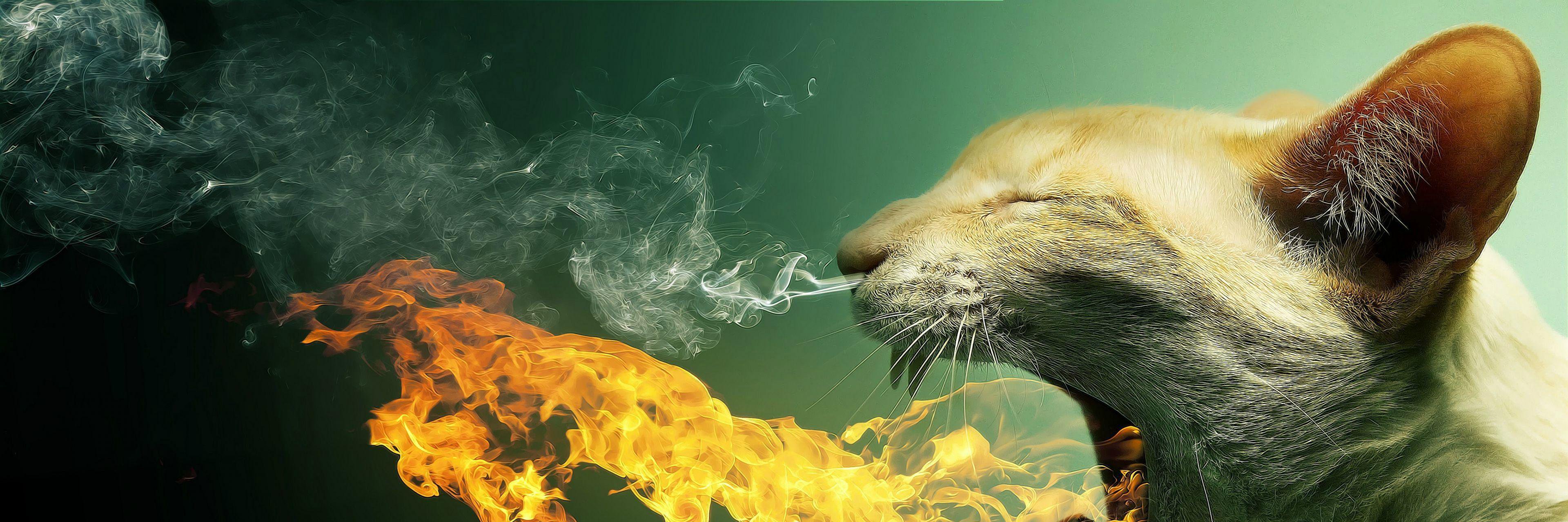 D___Jones's profile banner image