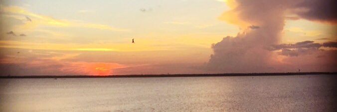 NicWolfe27's profile banner image