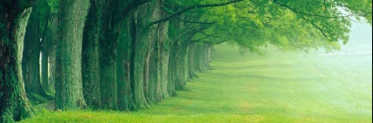 gaontrees7's profile banner image