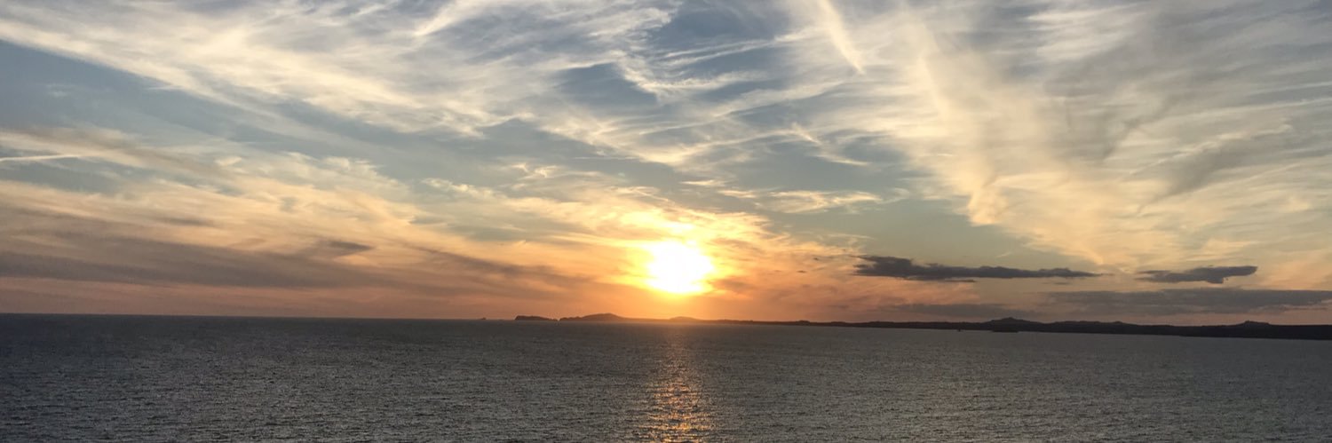 HayleyFile's profile banner image